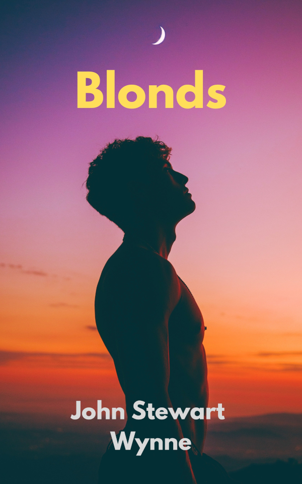Blonds-ebook-cover