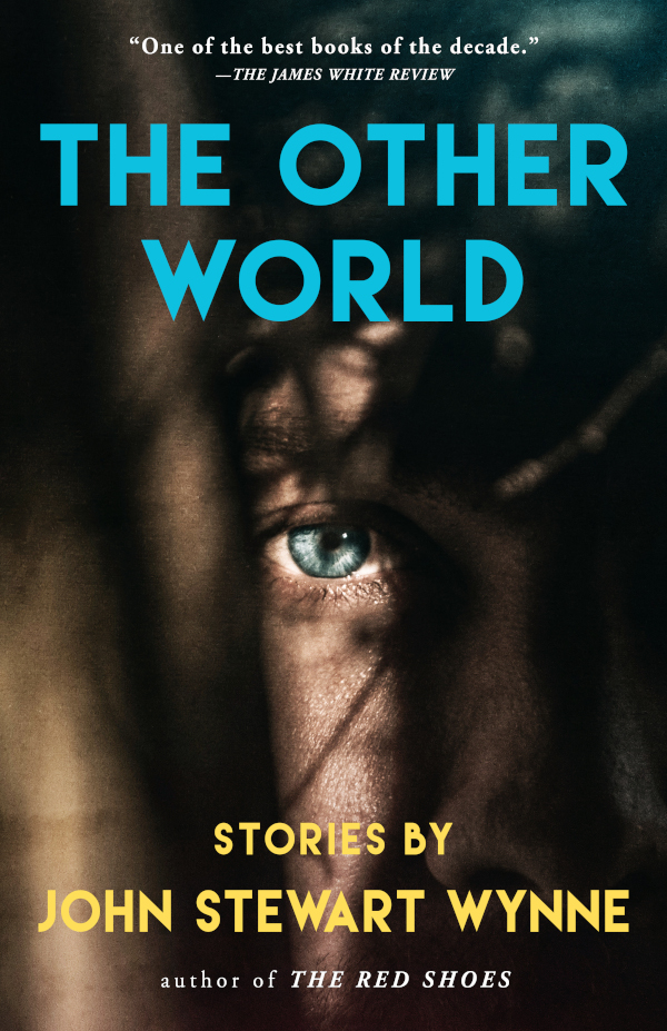 The Other World book cover