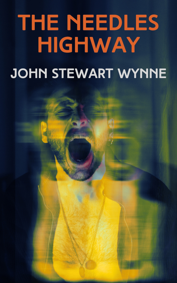 The_Needles_Highway_cover